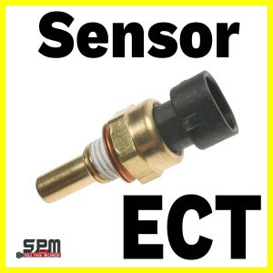 Sensor ECT